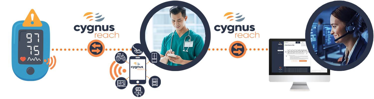 Cygnus Software